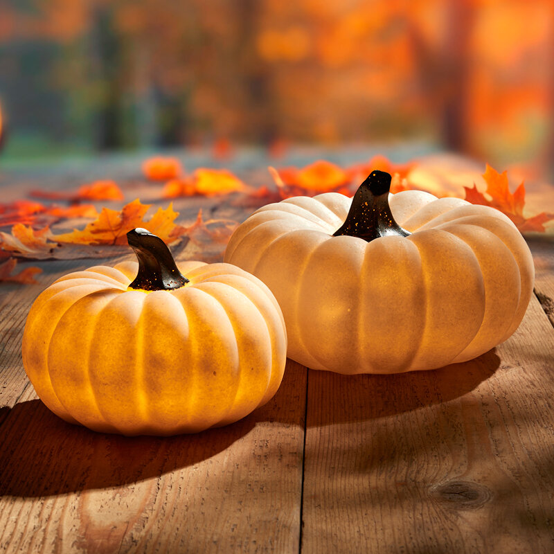 Der Herbst kann kommen
