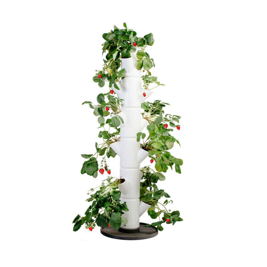Frische Erdbeeren für alle! Innovativer Pflanzturm für kleine Flächen