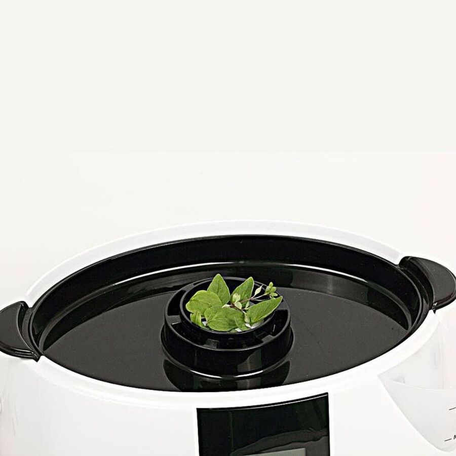 Turbo-Dampfgarer: Superschnell, schonend, gesund - Hagen