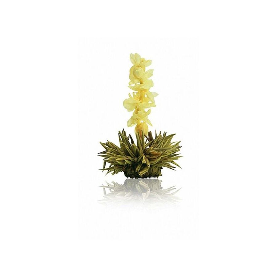 Aufblhende Teeblumen: wunderschn, stimulierend und aromatisch Bild 3