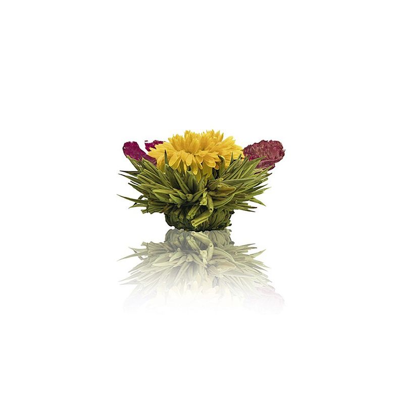 Aufblühende Teeblumen: wunderschön, stimulierend und aromatisch Bild 4