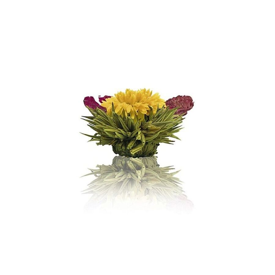 Aufblhende Teeblumen: wunderschn, stimulierend und aromatisch Bild 4