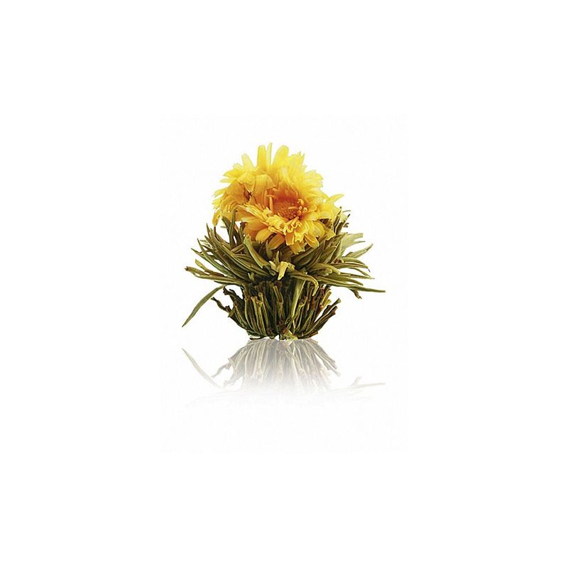 Aufblühende Teeblumen: wunderschön, stimulierend und aromatisch Bild 5