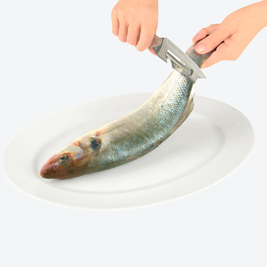 4-in-1-Fischmesser: Schneiden, filetieren, entgrten, entschuppen Bild 4