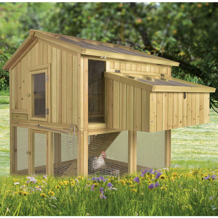 Täglich frische Eier Mobiles Gartenhaus für 3 Hühner Hagen Grote Shop
