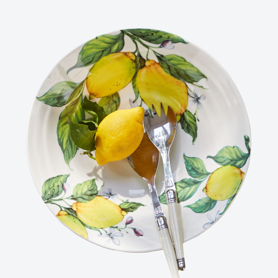 schüssel mit zitronenmotiv