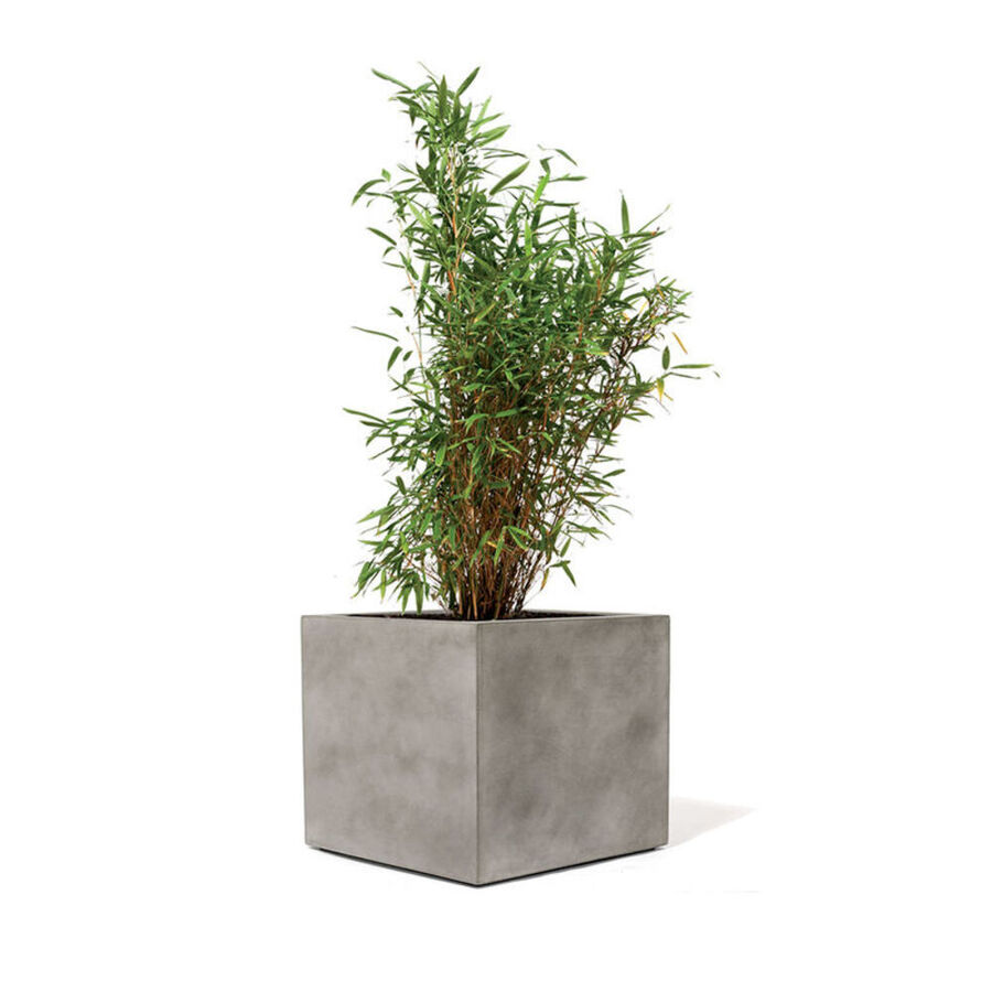 Robuster Pflanzkübel aus frostfestem Material - Julia Grote Shop