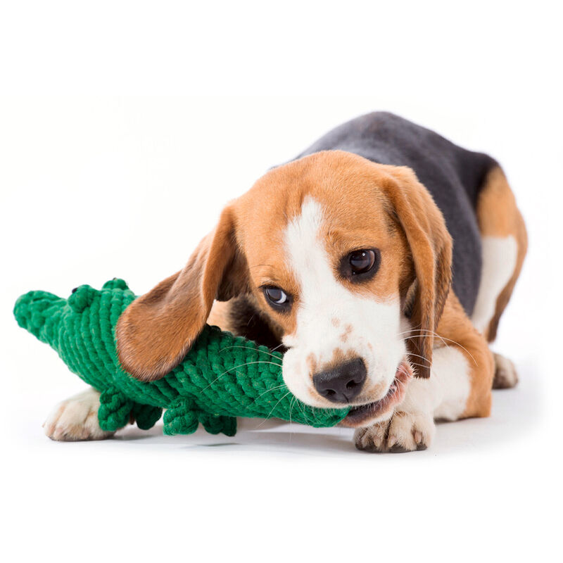 Robustes Hundespielzeug Kalli Krokodil aus zahnpflegendem Baumwolltau Bild 2