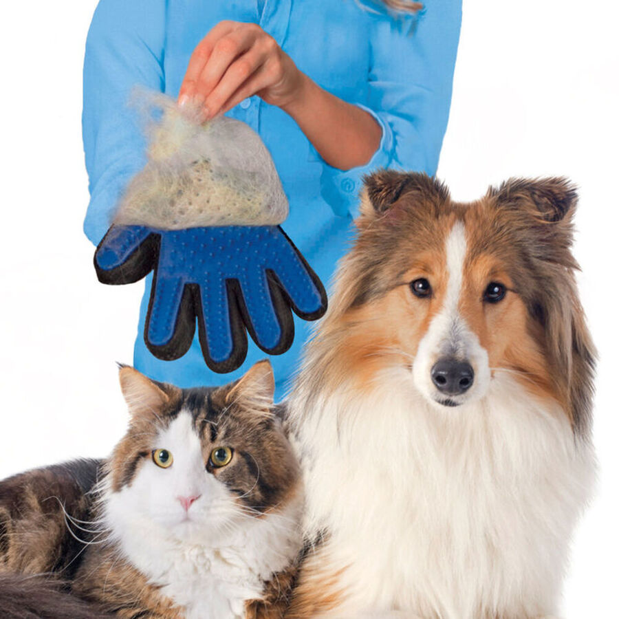 Fellpflegehandschuh verwhnt und pflegt Bild 2