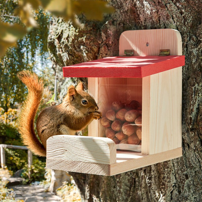 Selbstbedienungs-Futterkasten für Eichhörnchen Bild 2