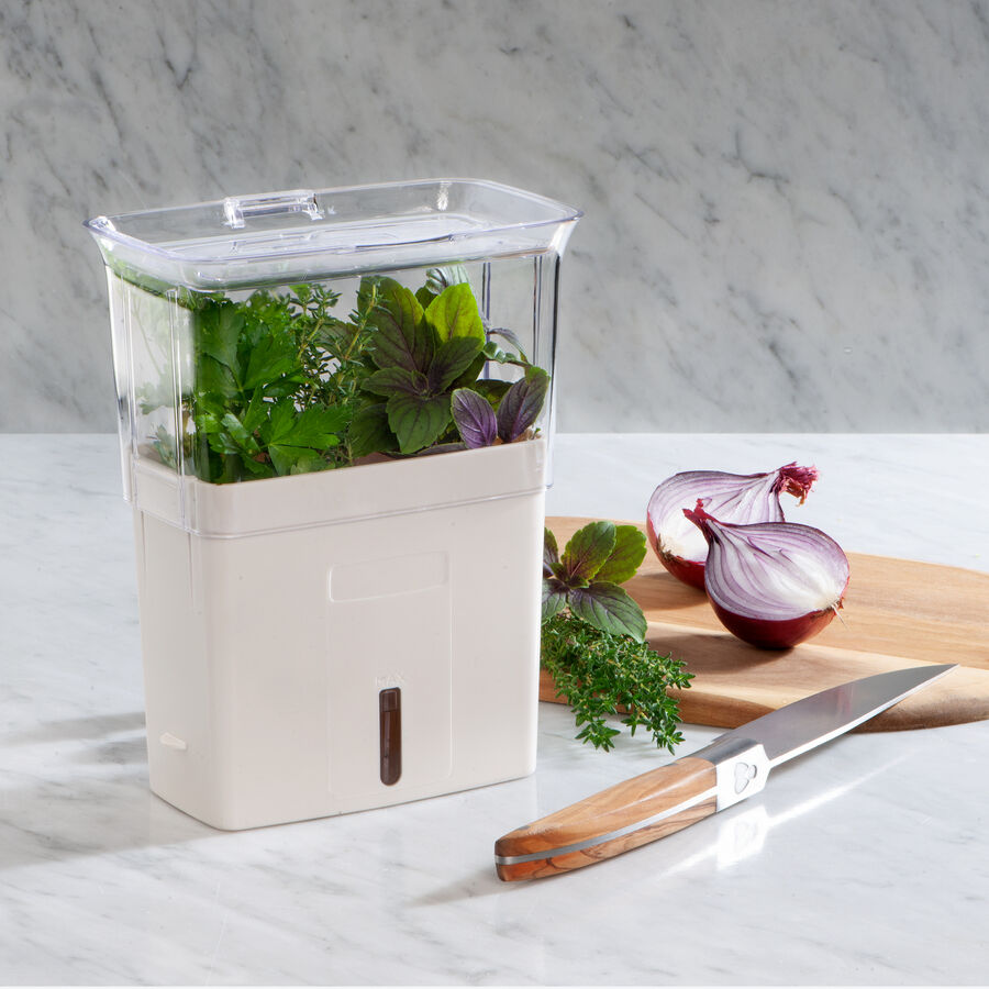 Frischhalte-Kruterbox: Hlt Schnittkruter bis zu 10 Tage lnger frisch, Kruter frisch halten, frische Kruter Bild 2