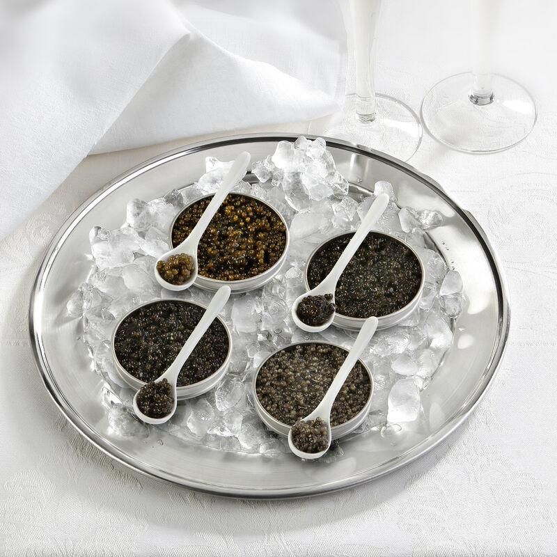 Sevruga Kaviar: Eine der anerkannt edelsten Kaviar Sorten Bild 2