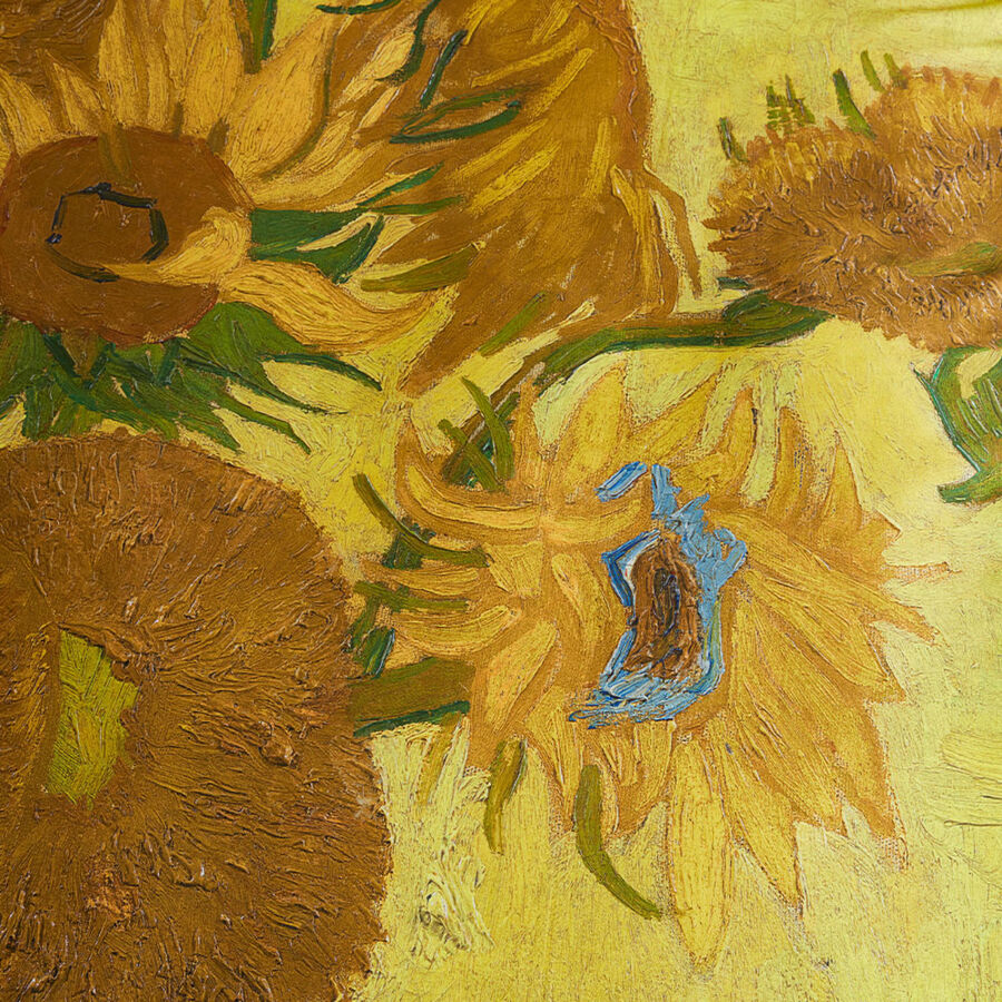 Kuchenteppich Quot Digital Quot Sonnenblume