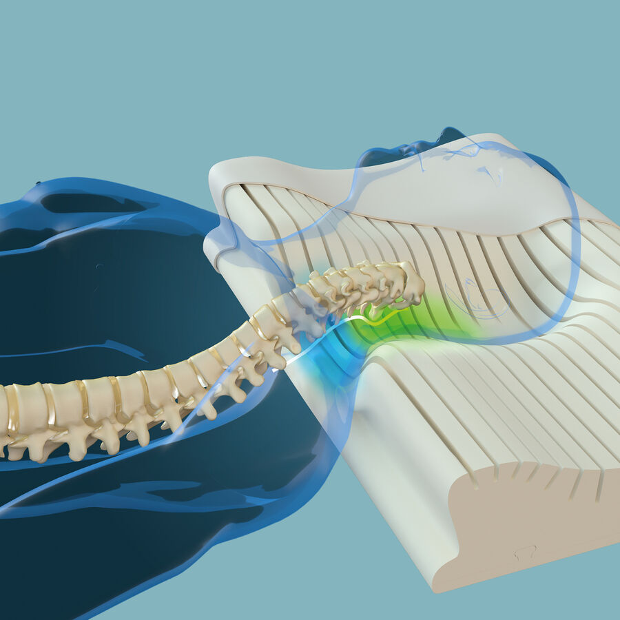 Patentiertes Nackensttzkissen entlastet Halswirbel und Bandscheiben Bild 3