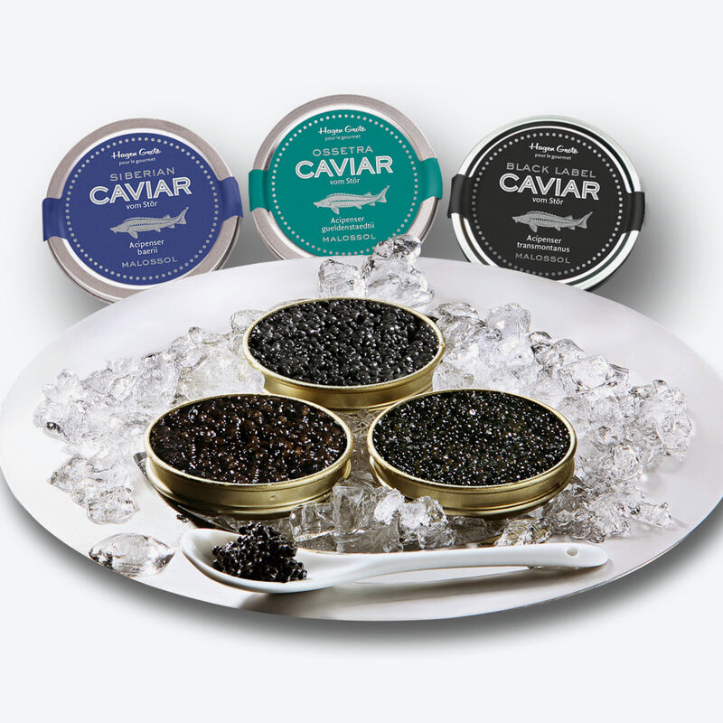 Genussvoll: Frischer Baaikal-Kaviar vom Stör aus exklusiver Zucht