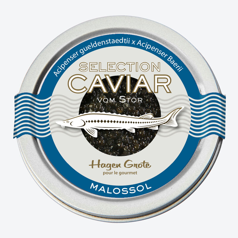 Hagen Grote Selection: Eine der anerkannt edelsten Kaviar Sorten