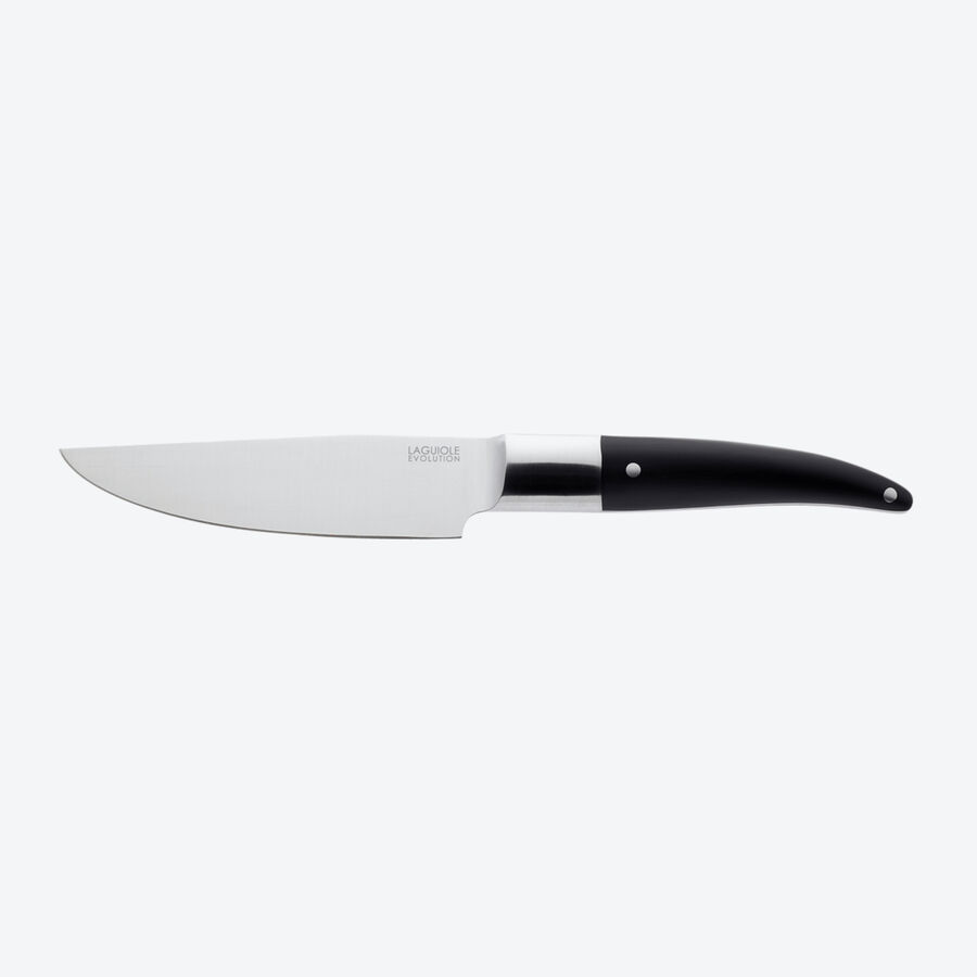 Laguiole Kochmesser: Franzsische Tradition trifft technische Innovation