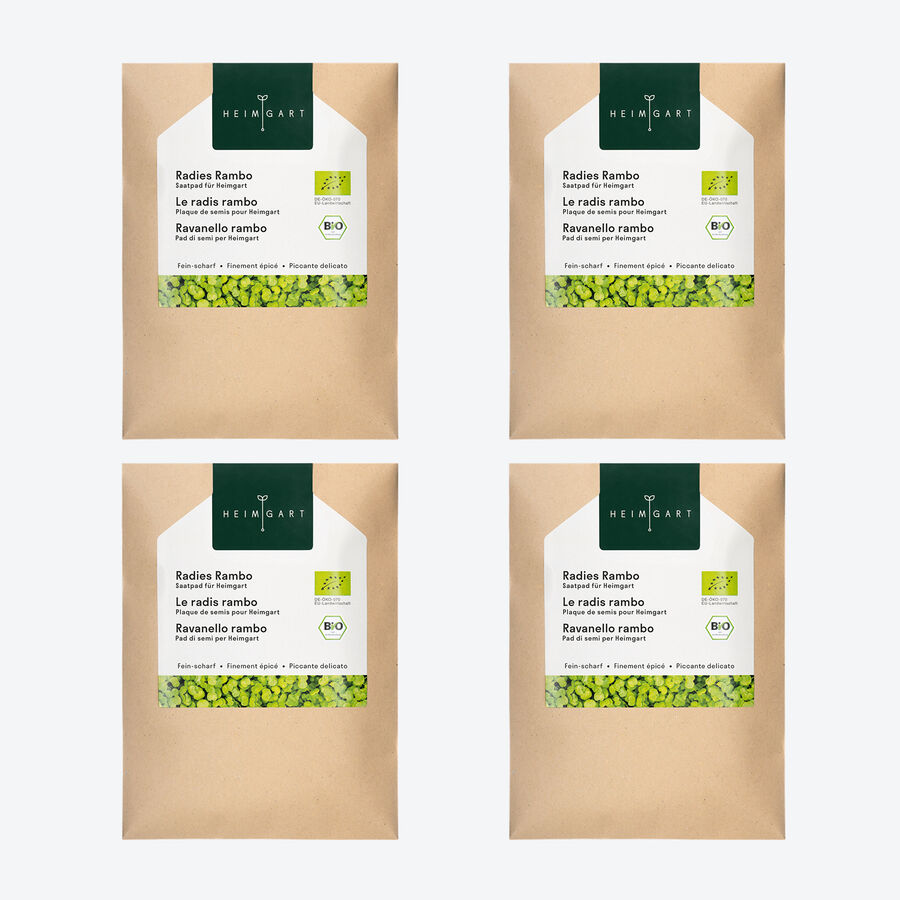 Microgreens Saatpads Radieschen: Frisch-scharfes Superfood