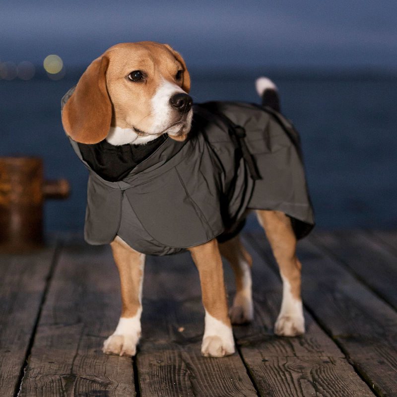 Hunde Regencape Haustierbedarf Hunde Kleidung & Accessories Mäntel & Jacken 