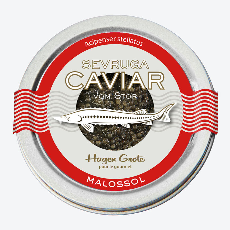 Sevruga Kaviar: Eine der anerkannt edelsten Kaviar Sorten