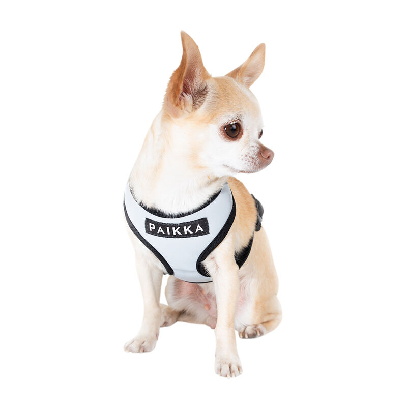 T-Shirt-Geschirr mit Reflektierschutz für kleine Hunde