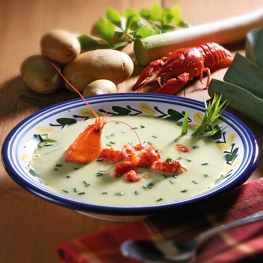 Vichyssoise mit Flusskrebsen