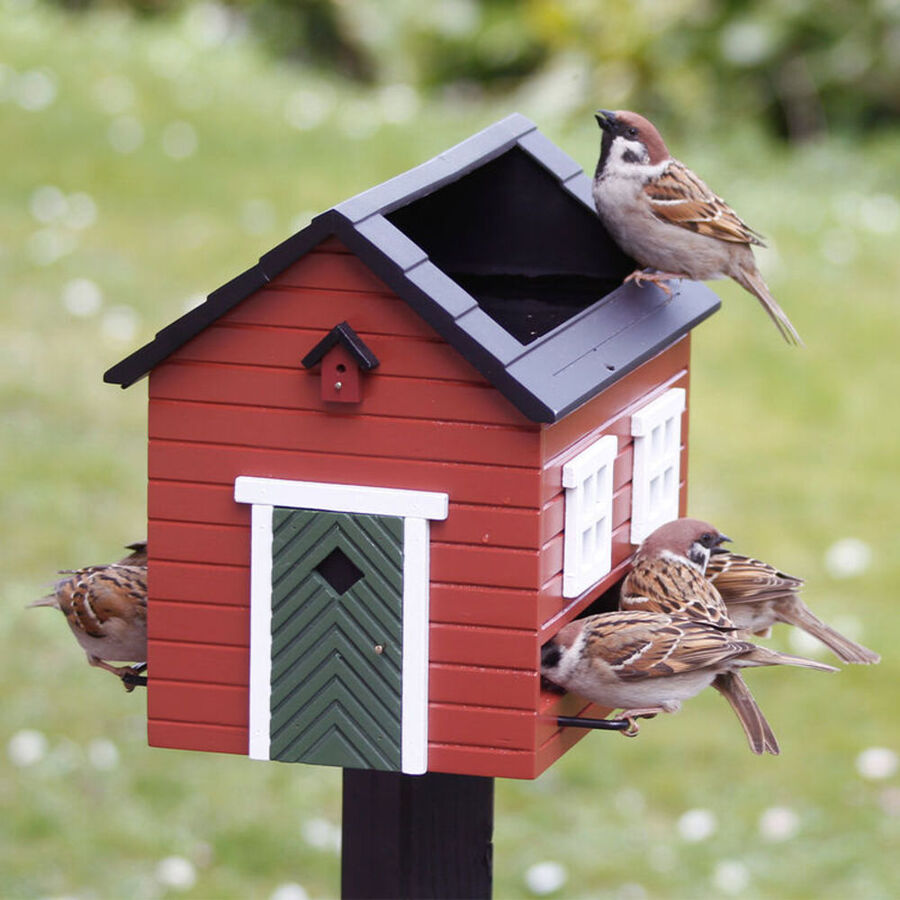 Vogelhaus mit Tränke und Bad für Ihre Gartenvögel Julia Grote Shop