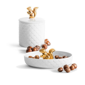 Goldfarbene Eichh�rnchen h�ten Ihren Nuss-Vorrat