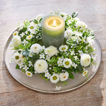 Produktbild fr 'Immerblhender Belliskranz in stilvollem Creme'