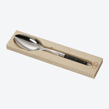 Produktbild fr 'Laguiole Servierlffel - Schwarz, 25 cm lang'