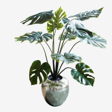 Produktbild fr 'Naturgetreue tropische Monstera fr Ihre Innenrume'