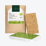 Produktbild f�r 'Bio-Microgreens Saatpads Senf, 4 St�ck'