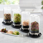 Produktbild f�r 'Innovatives Sprossen-Gew�chshaus liefert frische Kost'