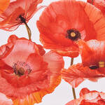 Produktbild fr 'Tischlufer mit frhlichem Mohn-Dessin'