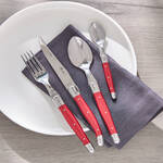 Produktbild fr 'Exquisites Besteck-Set 4-teilig von Laguiole'
