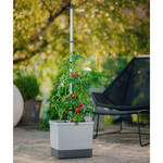 Produktbild fr 'Innovatives Tomaten-Pflanztopf Starter-Set'