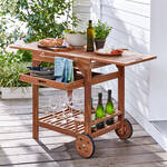 Produktbild fr 'Robuster Outdoor Servierwagen mit groer Arbeitsflche'