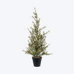 Produktbild f�r 'Charmante nordische Kiefer wie frisch aus dem Wald'