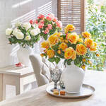 Produktbild fr 'ppiges Rosenbouquet in frischen Farben'