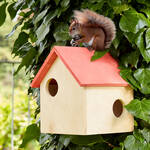Produktbild fr 'Sicheres Nest fr Eichhrnchen'
