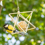 Produktbild f�r 'Meisenkn�del-Halter: Dekorativer Sitz- und Futterplatz f�r V�gel'