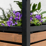 Produktbild f�r 'Schneller, ges�nder, gr��er gedeihen Kr�uter, Gem�se, Blumen im Hochbeet'