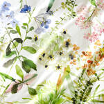Produktbild fr 'Kissenbezug 40 x 80 cm zur frhlingsfrischen Satin-Wendebettwsche'