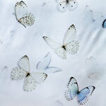 Produktbild f�r 'Apelt Satin-Kissenbezug, 40/80 cm'