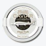 Beluga di Venezia: Schwarzer Kaviar mit einem unvergleichlichen Aroma