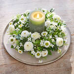 Produktbild fr 'Immerblhender Belliskranz in stilvollem Creme'