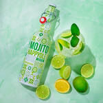 Produktbild fr 'Mojito: Cocktail-Klassiker neu gedacht'