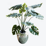 Produktbild fr 'Naturgetreue tropische Monstera fr Ihre Innenrume'
