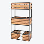 Produktbild f�r 'Schneller, ges�nder, gr��er gedeihen Kr�uter, Gem�se, Blumen im Hochbeet'