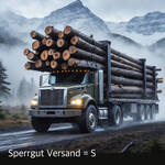 Produktbild fr 'Test Versand Sperrgut'